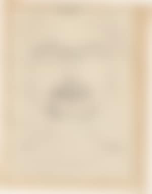 number tree landscape; Absorption (preview)