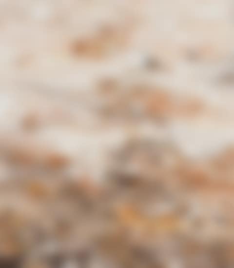 "Terranueva" (preview)