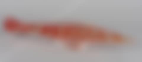 Large fish (preview)