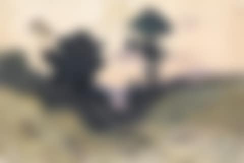 Paysage (preview)