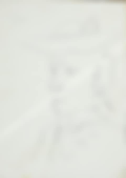 "Portrait" (preview)