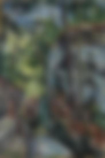Wooded Landscape (preview)