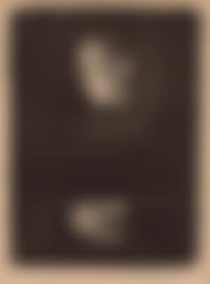Working woman in profile to the left (preview)