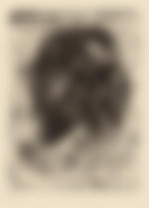 Man"s head to the right (preview)