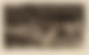 Raped (preview)
