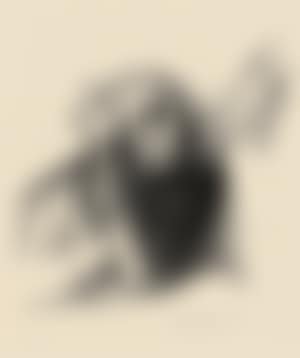 Call of Death (preview)