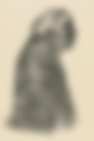 Self-portrait in profile to the right (preview)