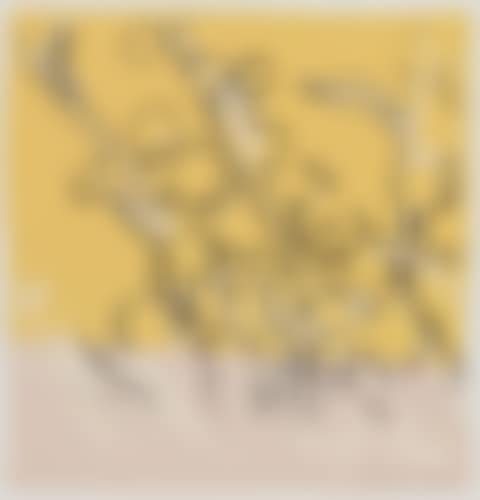 Mimosas (preview)