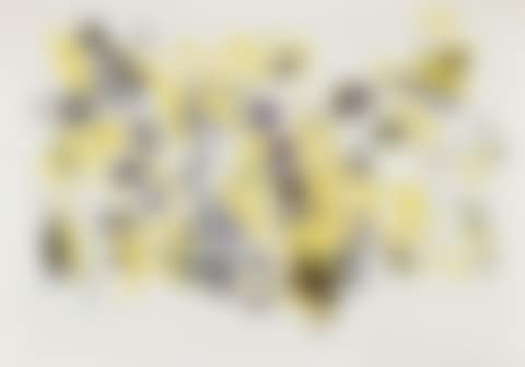 Untitled (preview)
