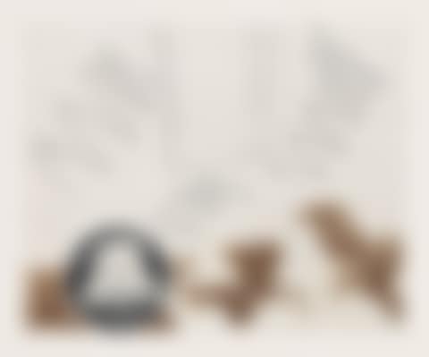 Black Dice (preview)