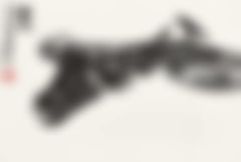 BUFFALO AND BIRD (preview)