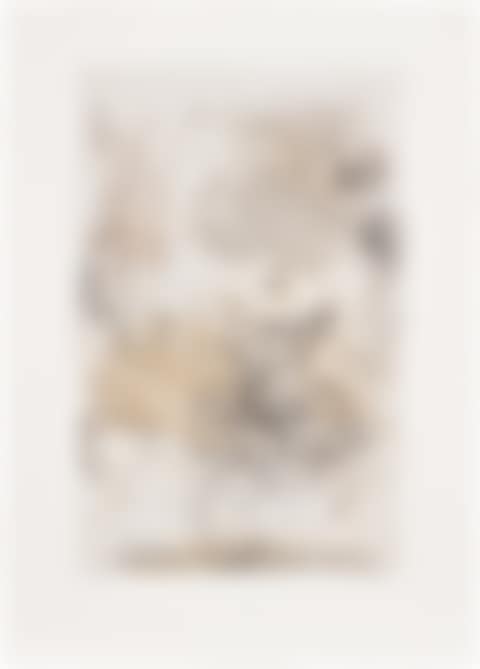 Sunflower VII (preview)