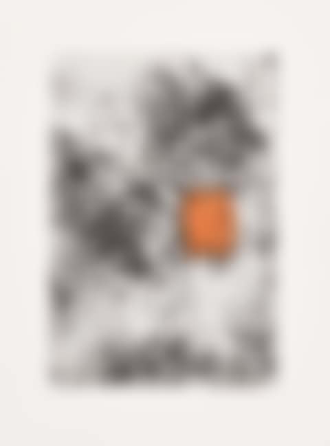 Sunflower II (preview)