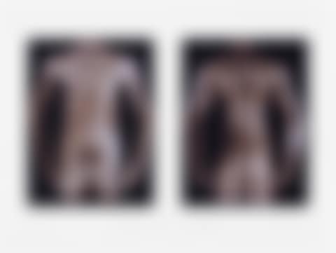 Untitled (In Honor of Peter Hujar), from 1989: A Portfolio Honouring Artists Lost to AIDS (preview)