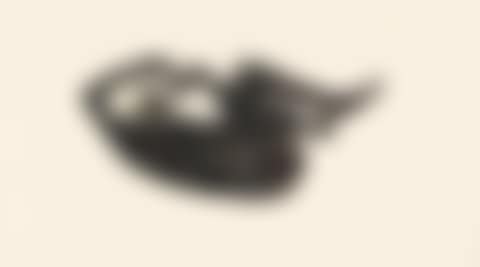 Sueño (preview)