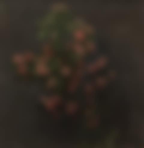 16; “Aubepines Roses,” (preview)