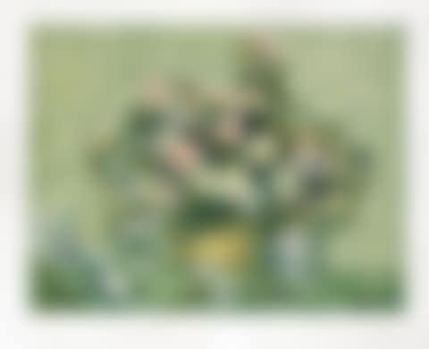 Les Roses (preview)