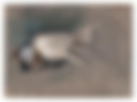 Study of a Woman"s Right Hand (preview)