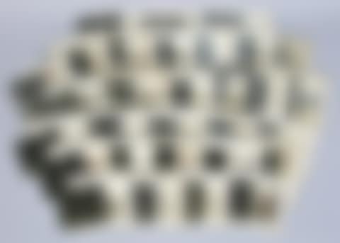 Photographic negative glass plates (preview)
