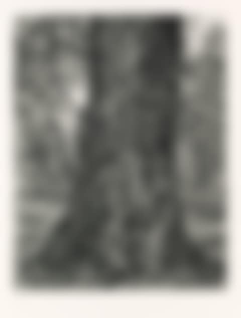 After Constable's Elm (preview)