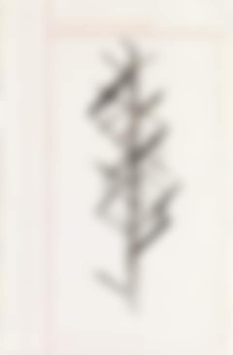 Hand Line Reflection Method (preview)