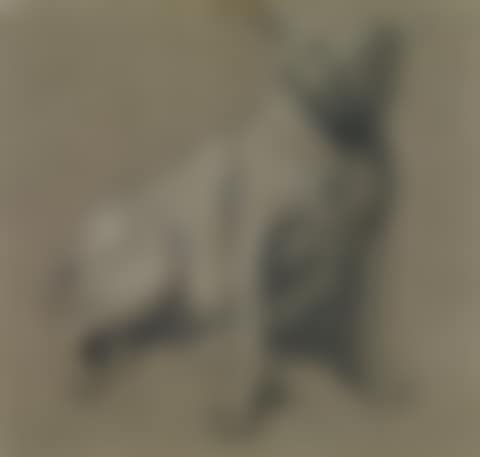 Study from Nature, a Bull Dog (preview)