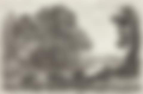 Le Bouvier (preview)