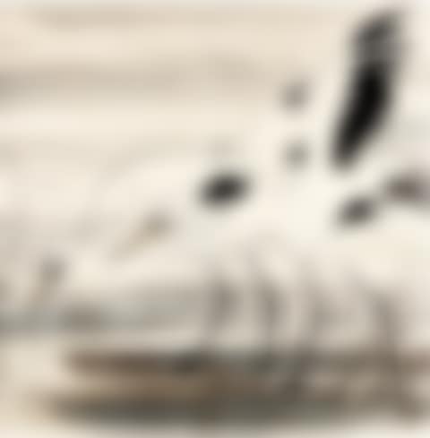 TWO HERONS (preview)