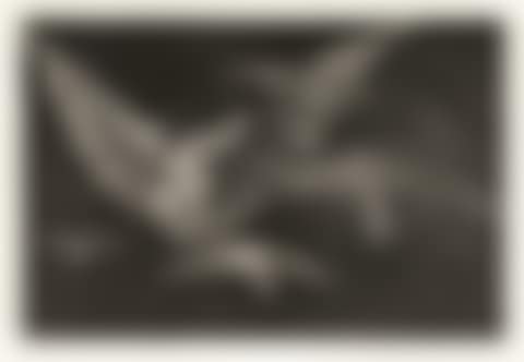 Modo de Volar (preview)