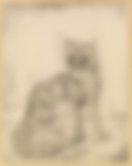 Chat (preview)