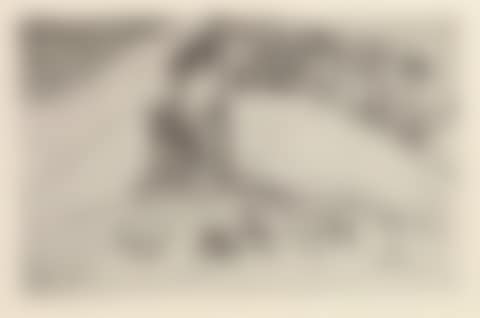 La Femme aux Figues (preview)