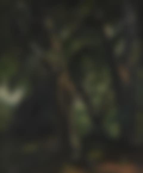Forest Landscape (preview)