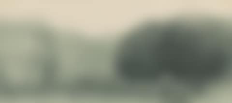 Park ii (preview)
