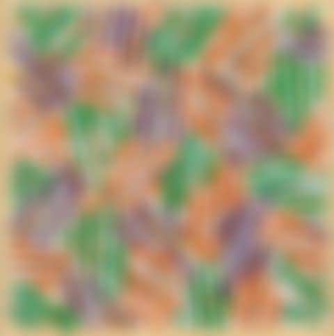Untitled (preview)