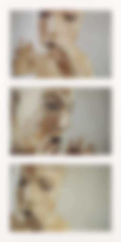 Untitled (preview)