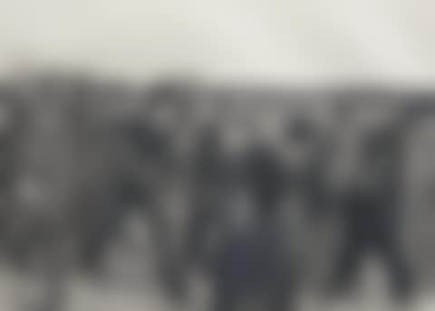 Weberzug (preview)