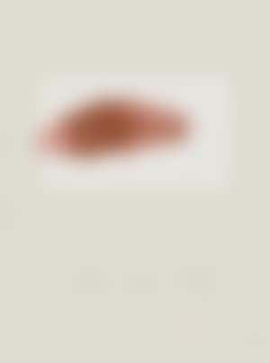 Sea angel sperm whale (preview)