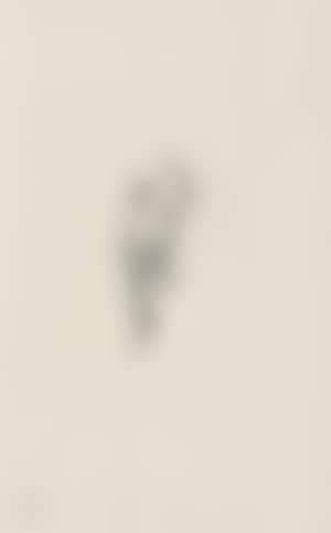 Giant aphid (preview)