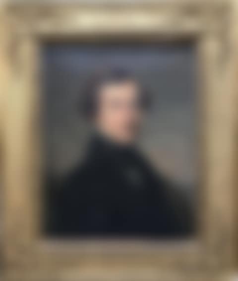PORTRAIT OF A MAN ON A LANDSCAPE BACKGROUND (preview)
