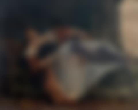 COURTESAN WITH A FAN. (preview)