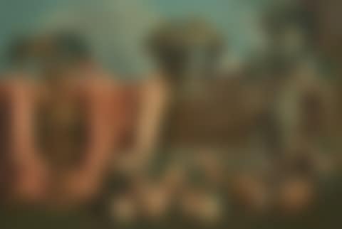 STILL LIFE WITH A EWER AND A PARROT (preview)