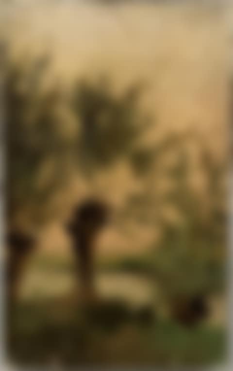 WILLOW ON THE BANKS OF THE DOUBS (preview)