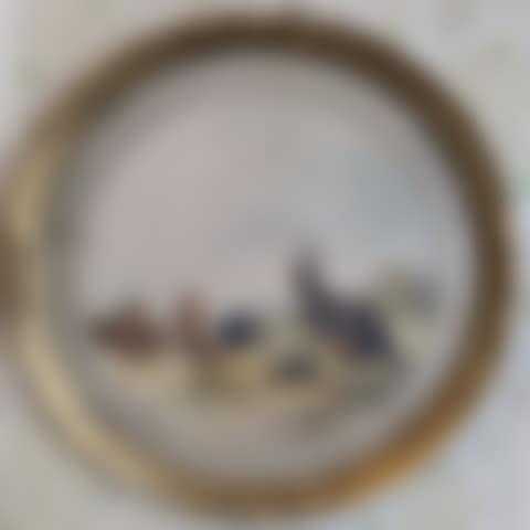 CHICKENS AND FOWL - TURKEY AND FOWL (preview)