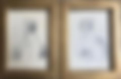 Presumed portraits of monsieur buquet and his wife (preview)