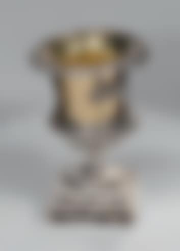 Mustard pot (preview)