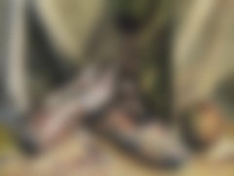 Still Life with Ballet Slippers (preview)