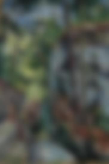 Wooded Landscape (preview)