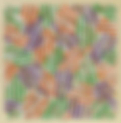 Untitled (preview)