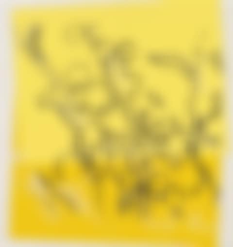 Mimosas (preview)