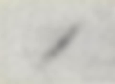 Insect Slant (preview)
